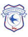 Cardiff City Academy