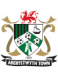 Aberystwyth Town Academy