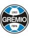 Grêmio FBPA Academia