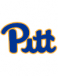 Pittsburgh Panthers