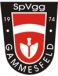 SpVgg Gammesfeld