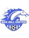 Box Hill United