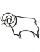 Derby County U21