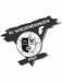 FC Wiesendangen