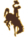 Wyoming Cowgirls