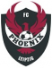 FC Phoenix Leipzig