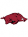 Arkansas Razorbacks