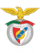SL Benfica Academia