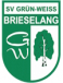 Grün-Weiß Brieselang