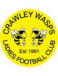 Crawley Wasps LFC