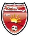 Spvgg 1919 Wiesbaden Sonnenberg