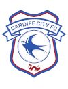 Cardiff City Academy