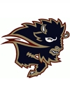 Manitoba Bisons