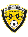 SG Carinthians Soccer Women/Carinthians Spittal (-