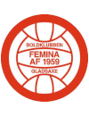 Boldklubben Femina Gladsaxe