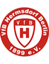 VfB Hermsdorf