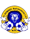FC Bomber Bad Homburg Jugend