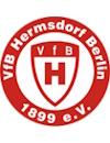 VfB Hermsdorf U17