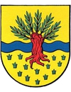 FC Widnau