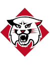 Davidson Wildcats