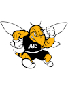 American International Yellow Jackets