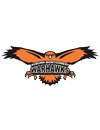 Auburn Montgomery Warhawks