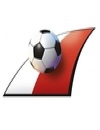 Oberösterreichischer Fußballverband
