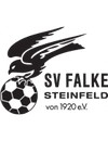 SV Falke Steinfeld