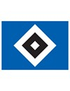 Hamburger SV Jugend