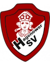 Hagenower SV