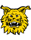 Ilves 2