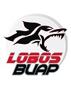 Lobos BUAP