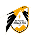 Kaohsiung Attackers