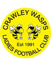 Crawley Wasps LFC