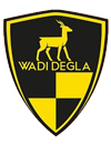 Wadi Degla FC